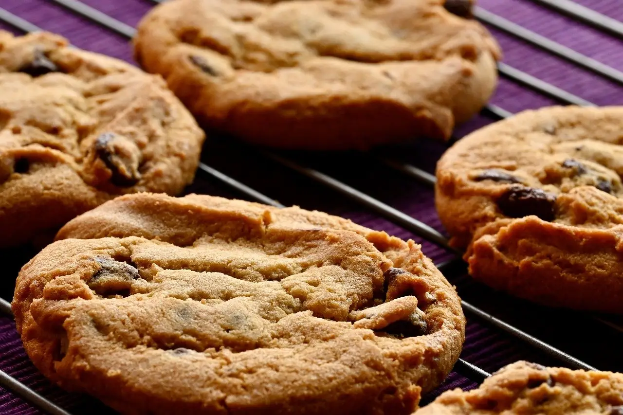 Soft Chocolate Chip Cookies without Brown Sugar
